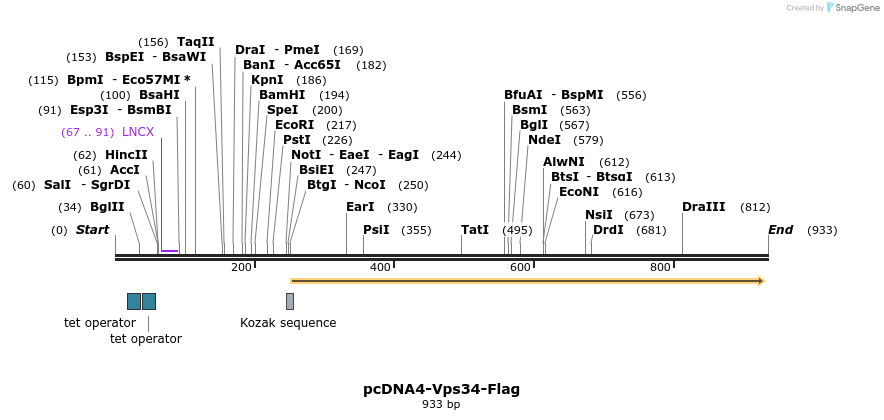 109805_map