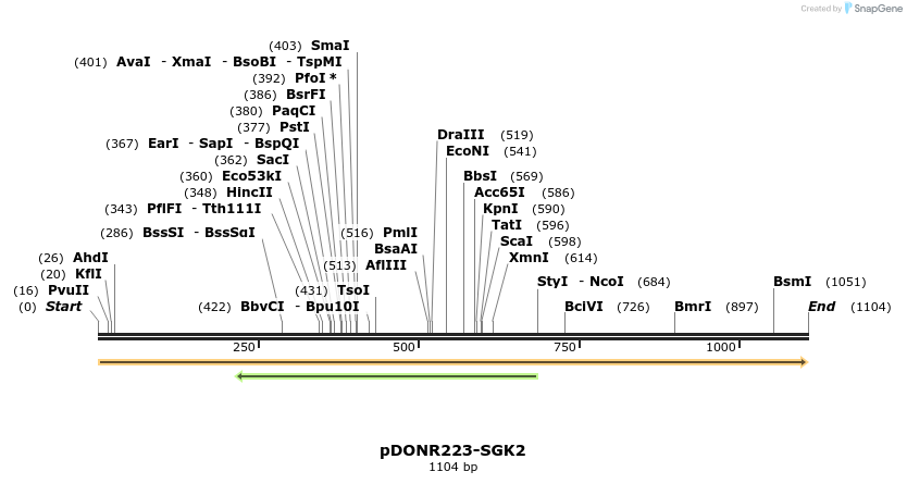 10981_map