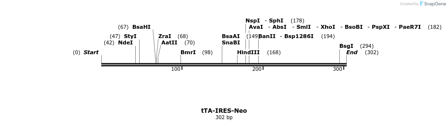 109811_map