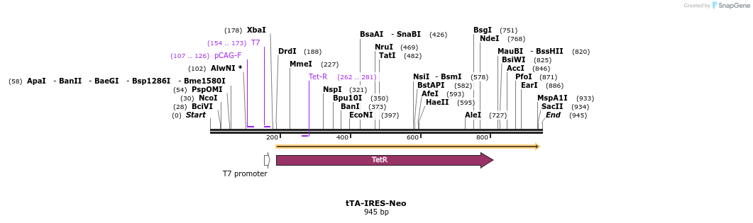 109812_map