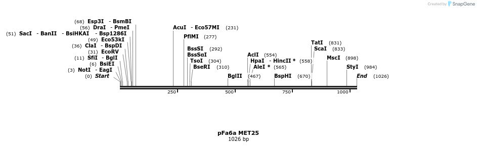 109817_map