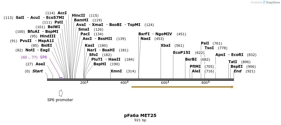 109818_map