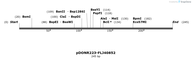 10982_map