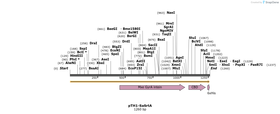 109827_map