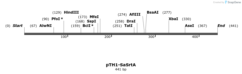 109830_map