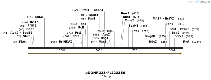 10984_map