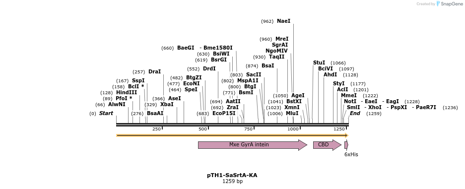 109841_map