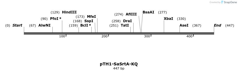 109845_map