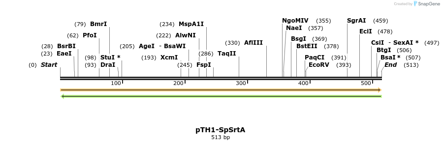 109849_map