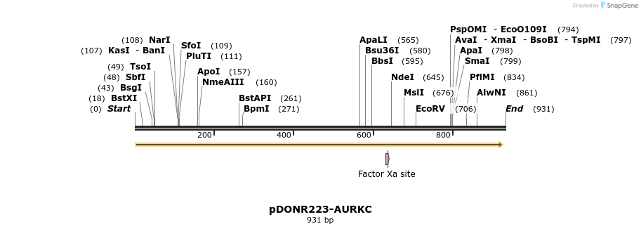 10985_map