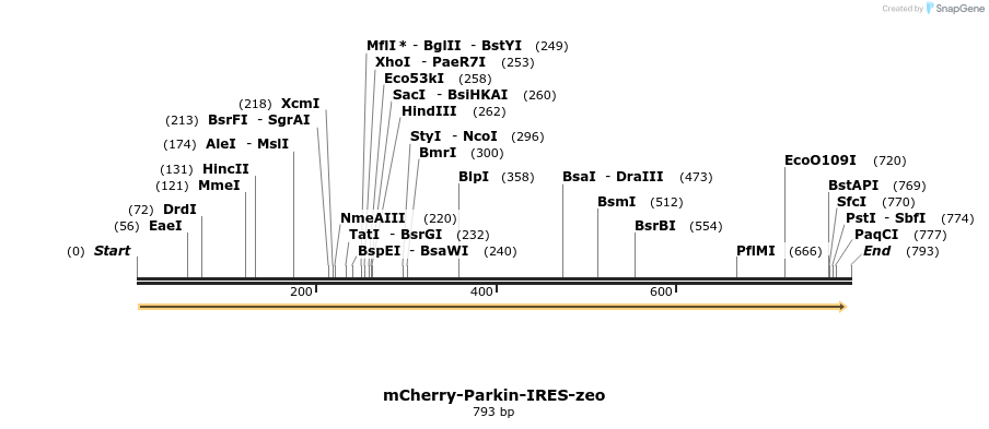 109855_map