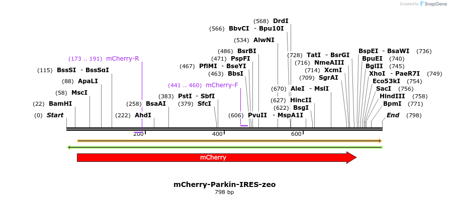 109856_map