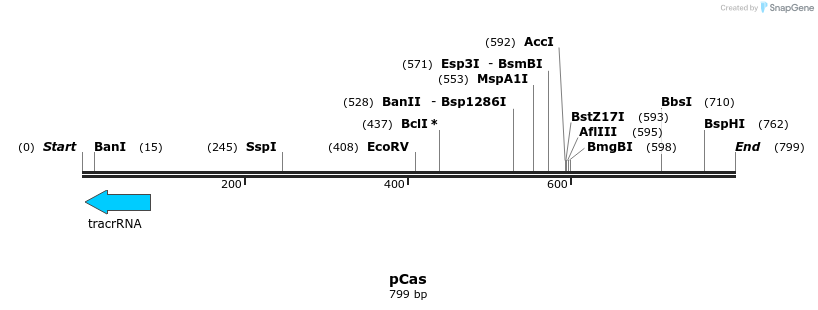 109858_map