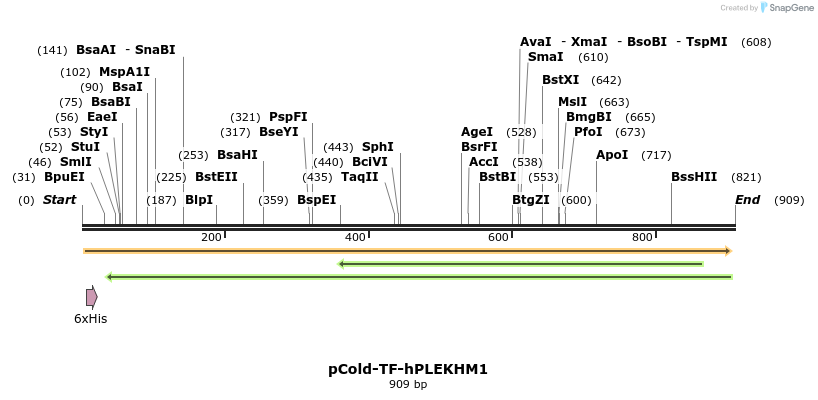 109860_map