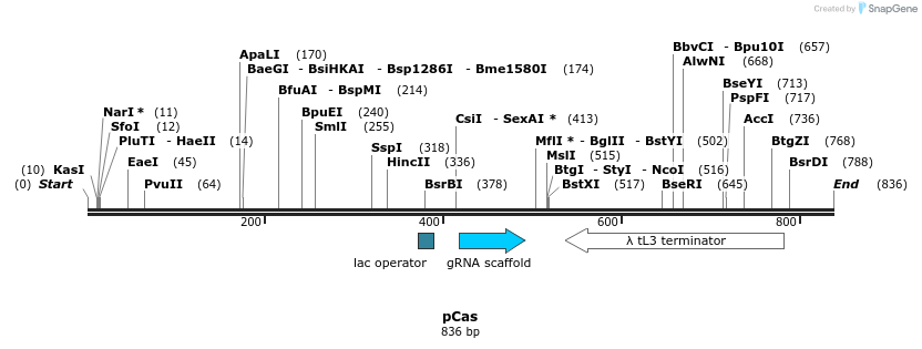 109861_map