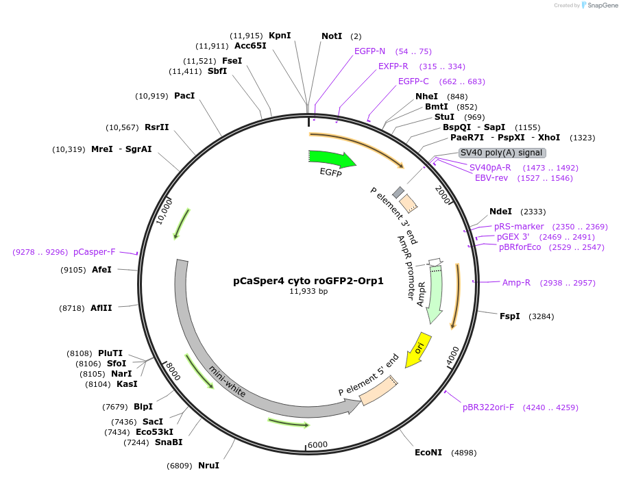 109872_map