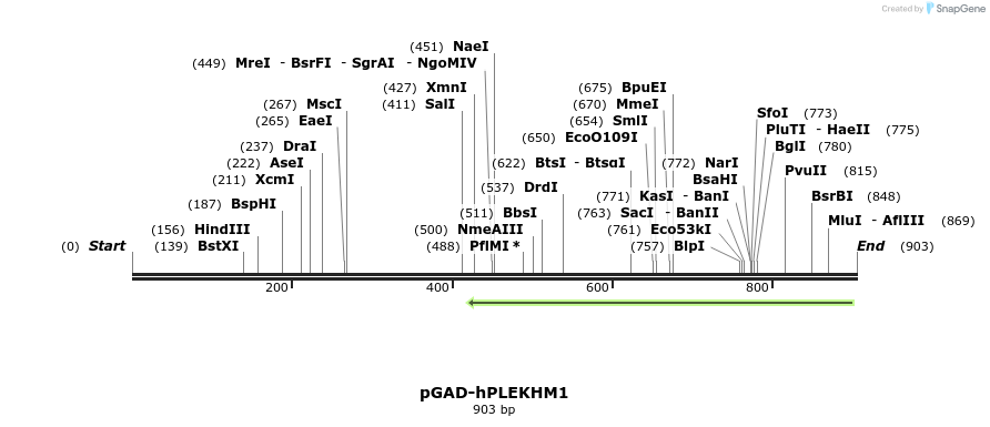 109874_map