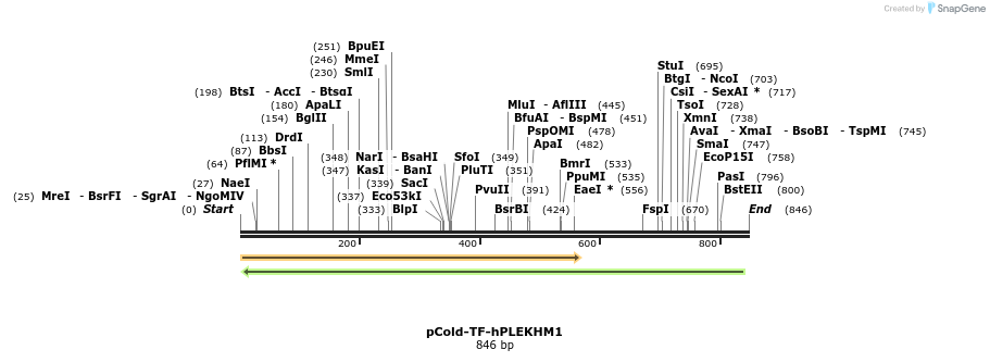 109875_map