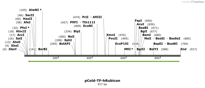 109876_map