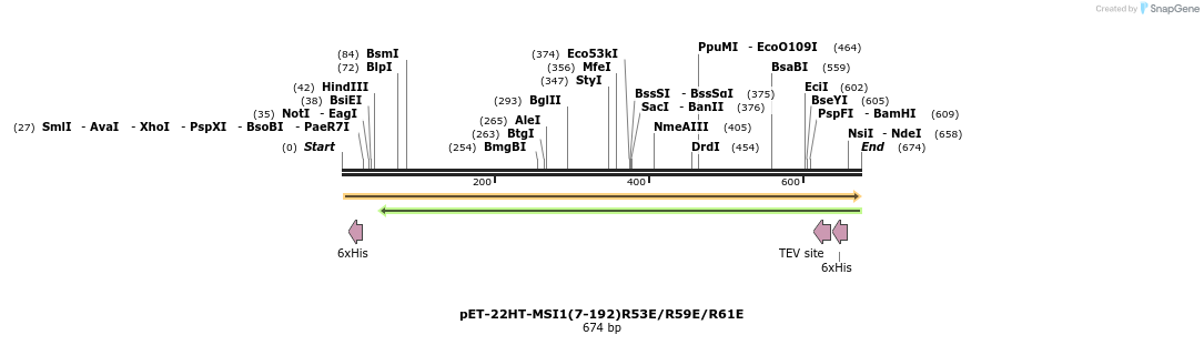 109889_map