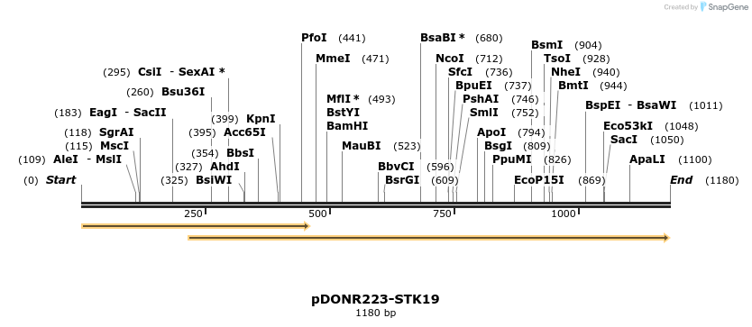 10989_map