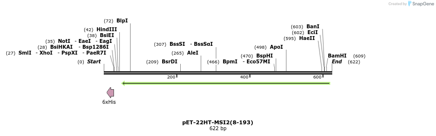 109890_map