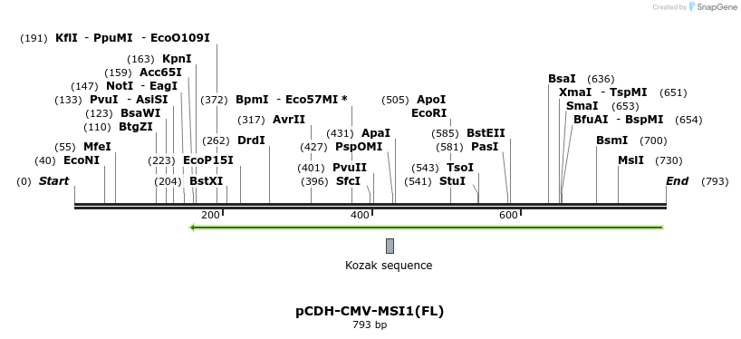 109893_map