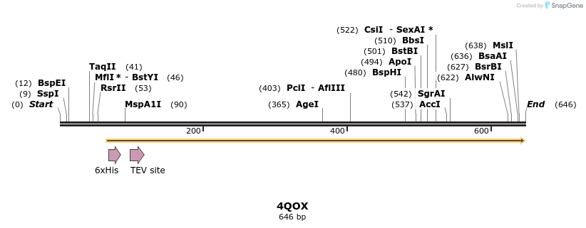 109894_map