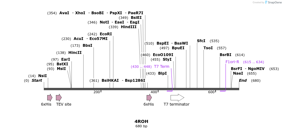 109896_map