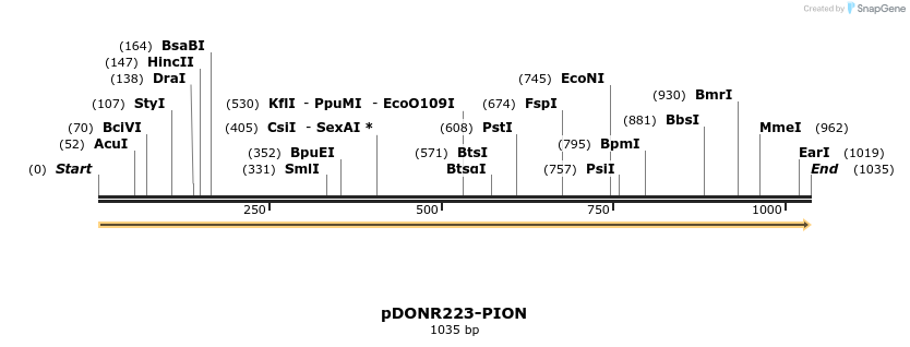 10990_map