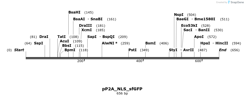 109902_map