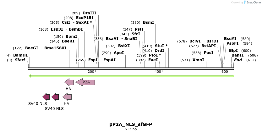 109904_map