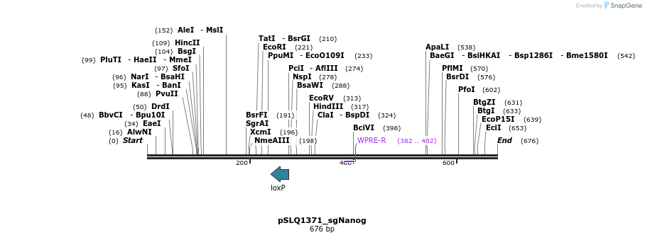 109906_map