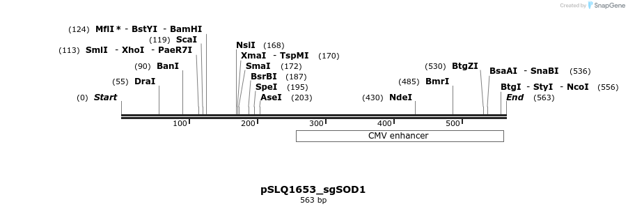 109909_map