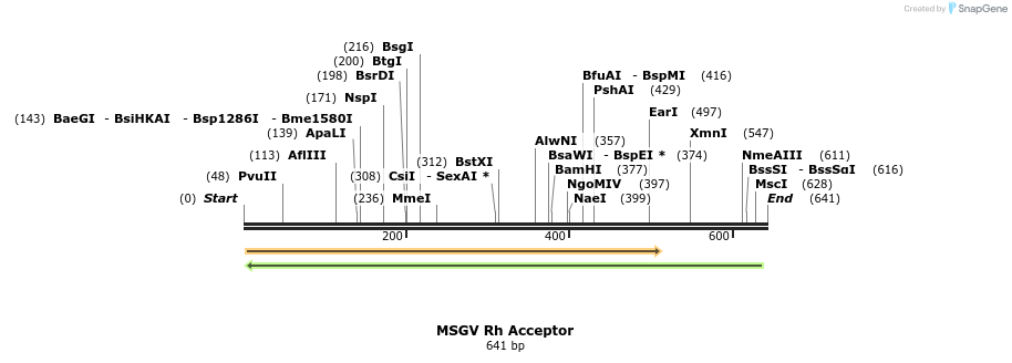 109919_map