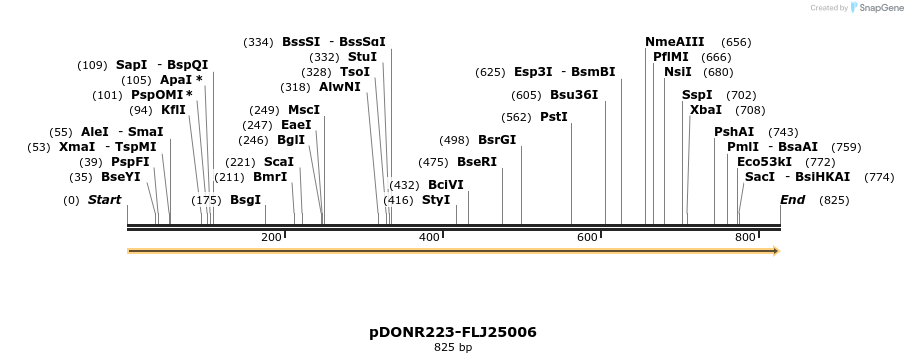 10992_map