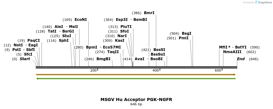 109922_map