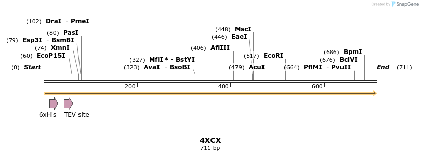109925_map