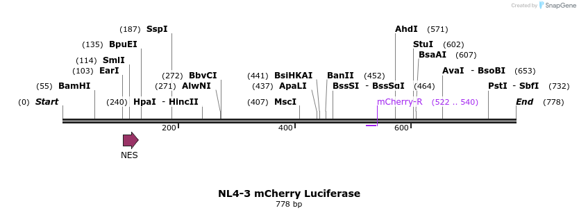 109926_map