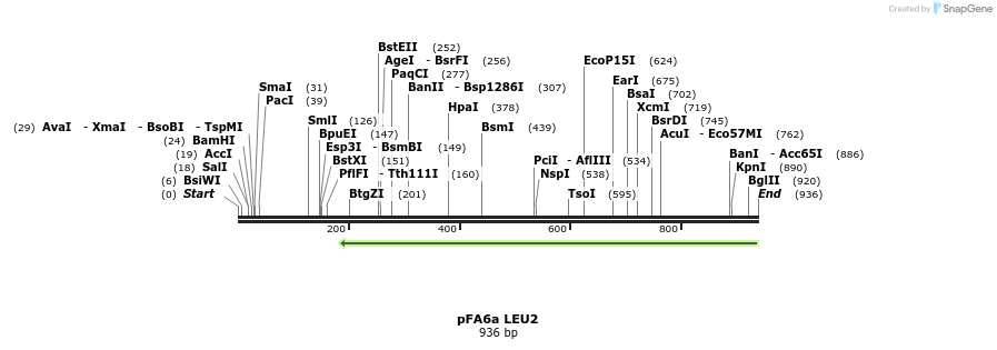 109928_map