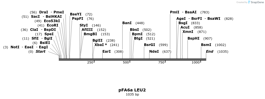 109930_map