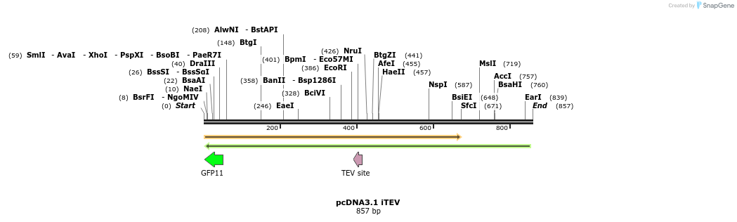 109935_map