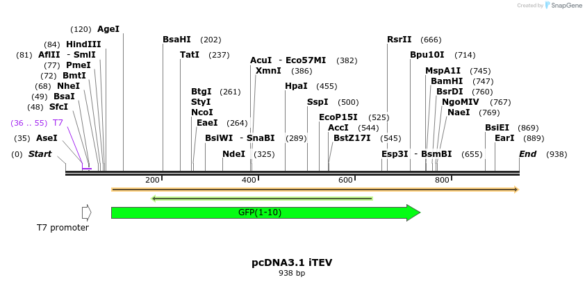 109937_map