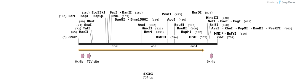 109938_map