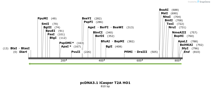 109942_map