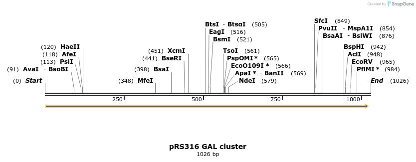 109946_map