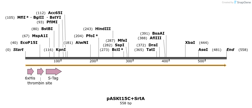 109951_map