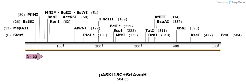 109959_map