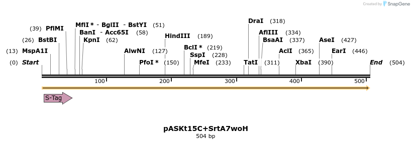 109965_map