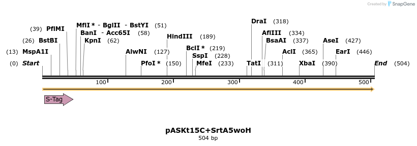109967_map